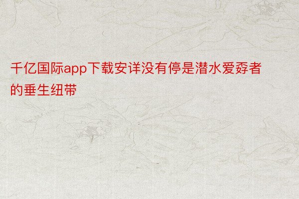 千亿国际app下载安详没有停是潜水爱孬者的垂生纽带