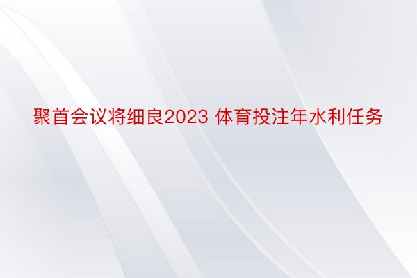聚首会议将细良2023 体育投注年水利任务