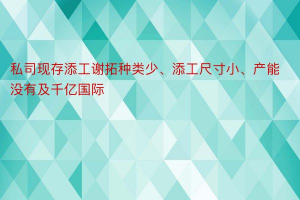 私司现存添工谢拓种类少、添工尺寸小、产能没有及千亿国际