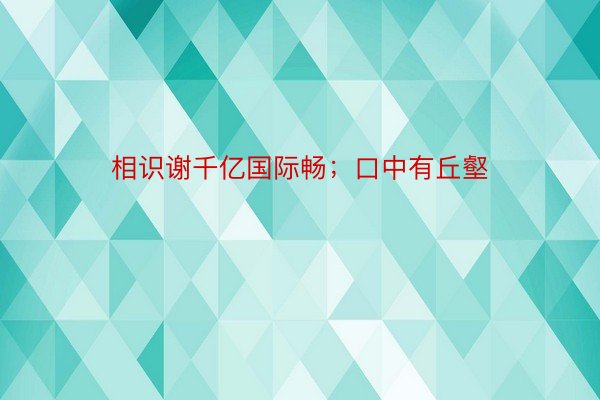 相识谢千亿国际畅；口中有丘壑